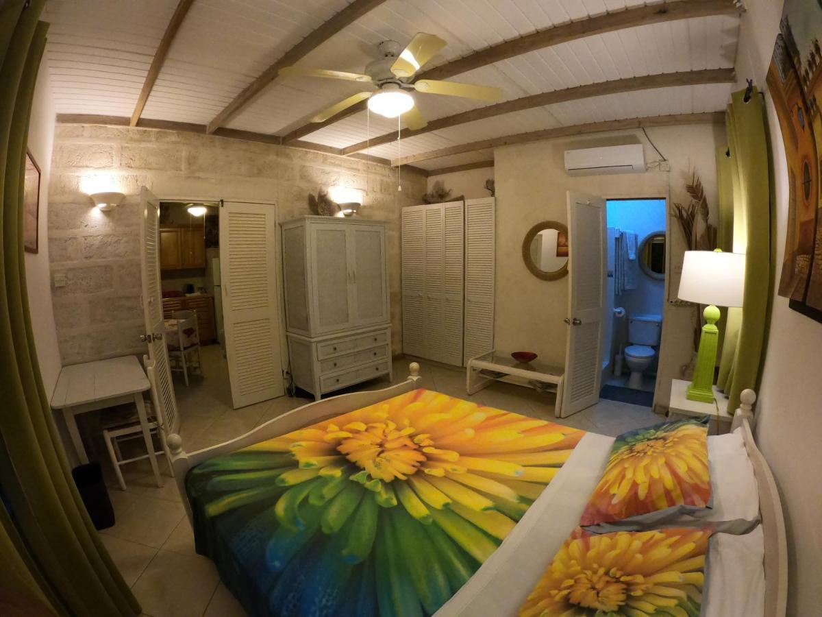Yellow Bird Apartment 基督教堂市 外观 照片