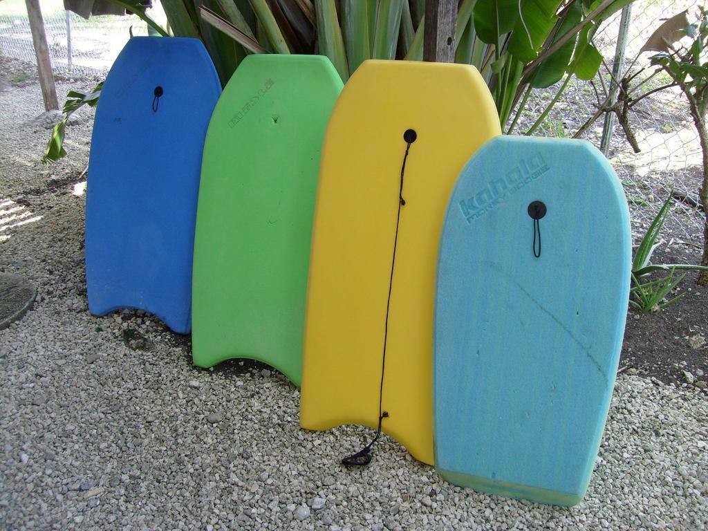 Yellow Bird Apartment 基督教堂市 外观 照片