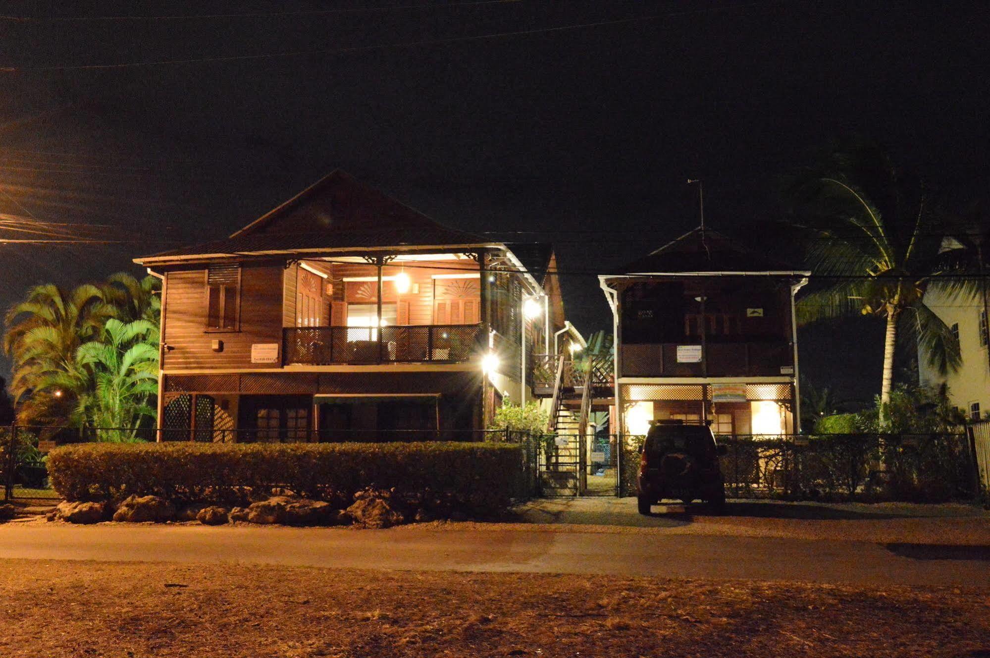 Yellow Bird Apartment 基督教堂市 外观 照片