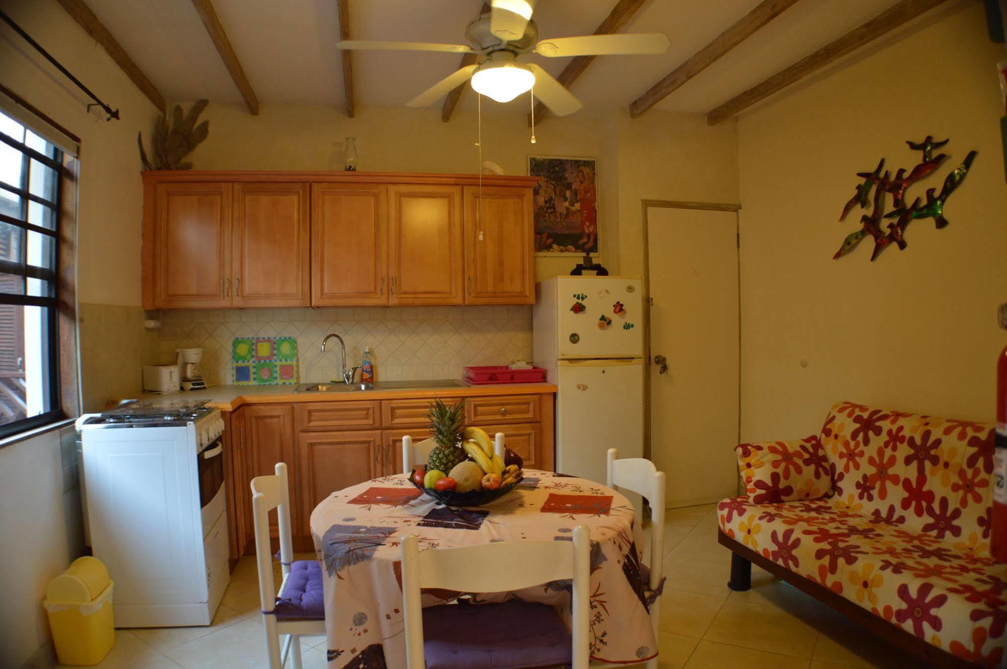 Yellow Bird Apartment 基督教堂市 外观 照片